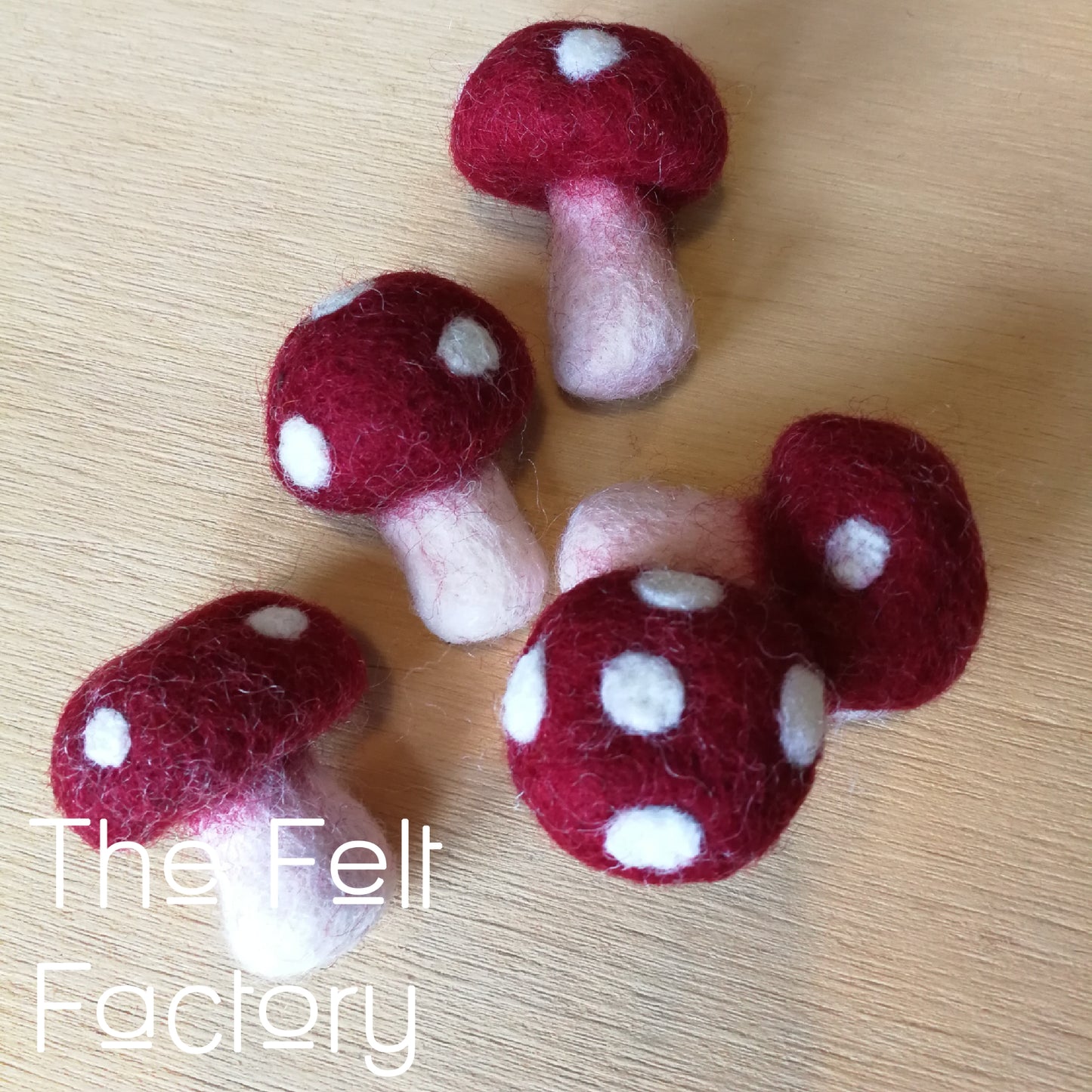 Mushrooms - Merlot